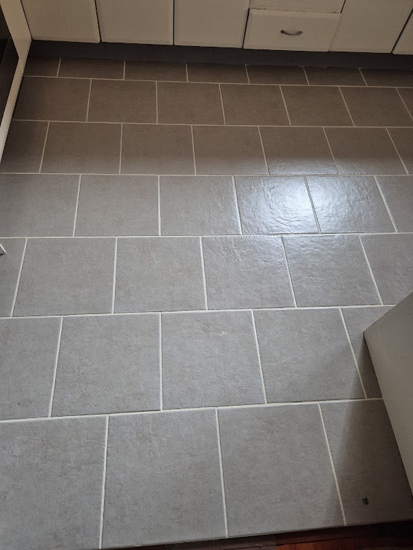 Seal Masters project 5