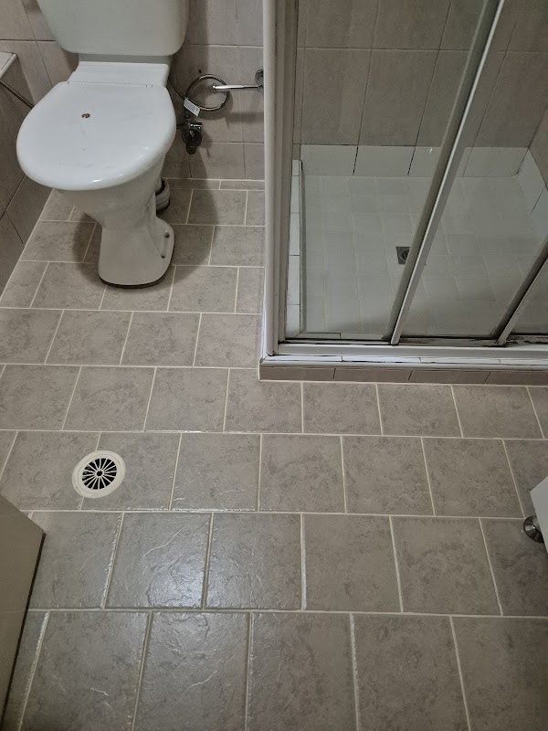 Seal Masters project 7