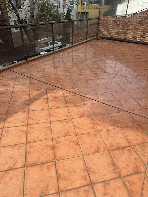 Seal Masters project 8