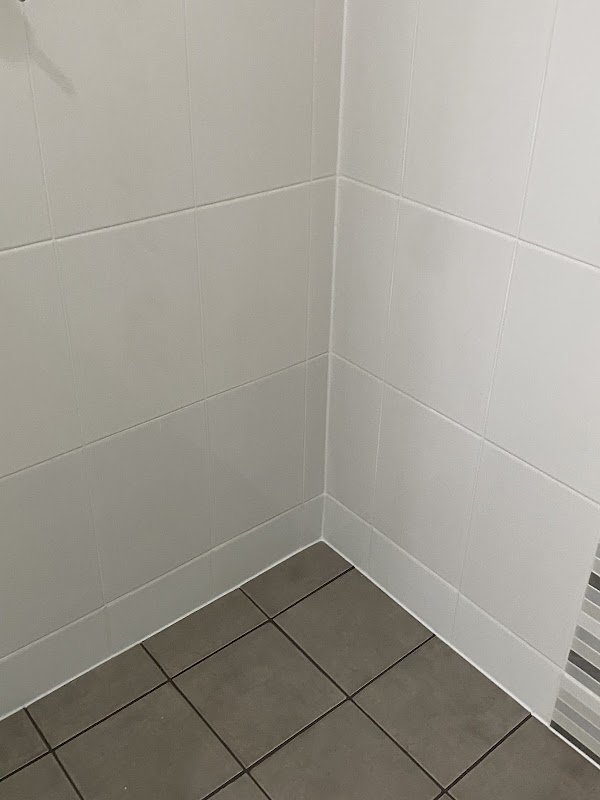 Seal Masters project 10