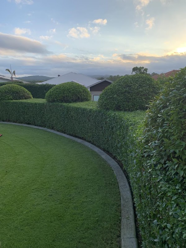 Selva Lawns & Gardens project 1