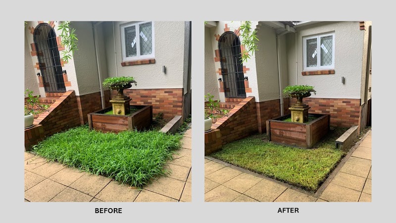 Selva Lawns & Gardens project 4