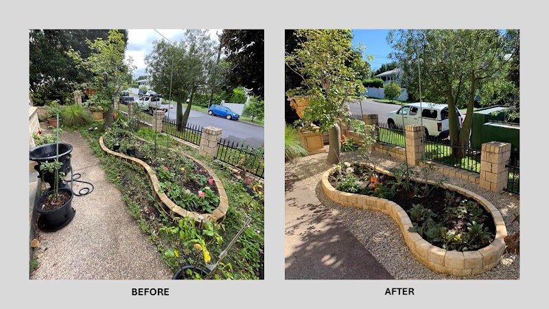 Selva Lawns & Gardens project 8