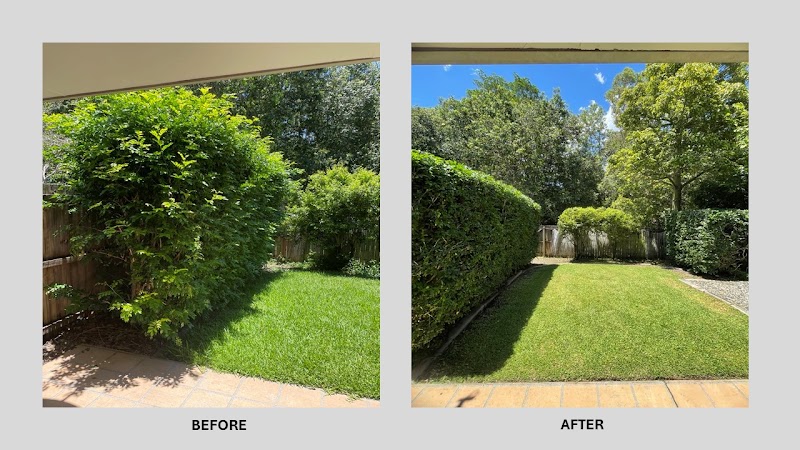 Selva Lawns & Gardens project 9