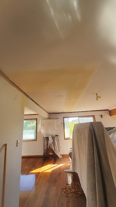 SEQ PLASTER LININGS 1 PTY LTD project 7