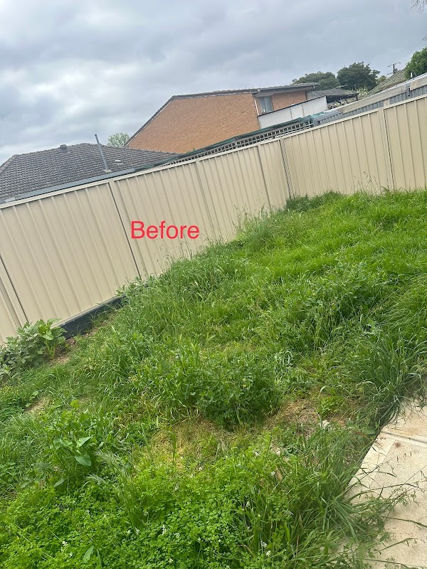 SH LANDSCAPING EXPERTS project 8