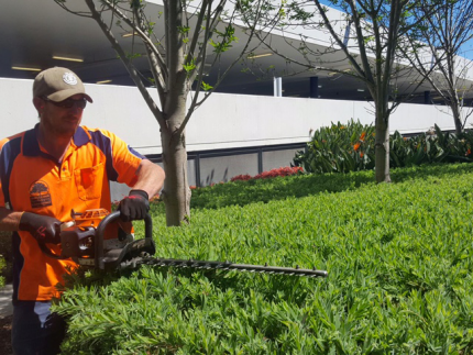 Shellcove Landscaping & Maintenance project 10