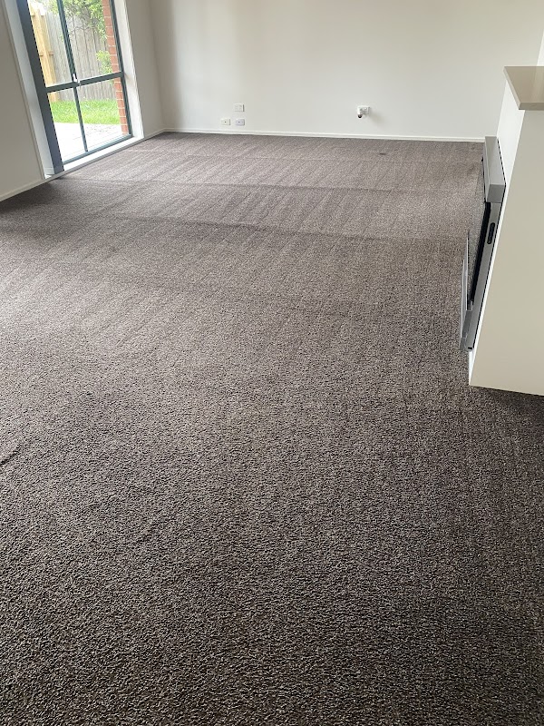 Shelly smart cleaning services work 2