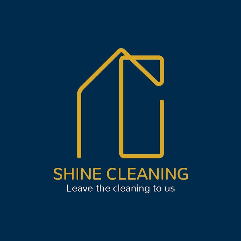 Shine Cleaning Service project 7