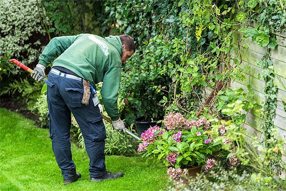 Shiny Handy People - Cleaning, Gardening & Handyman Services work 3