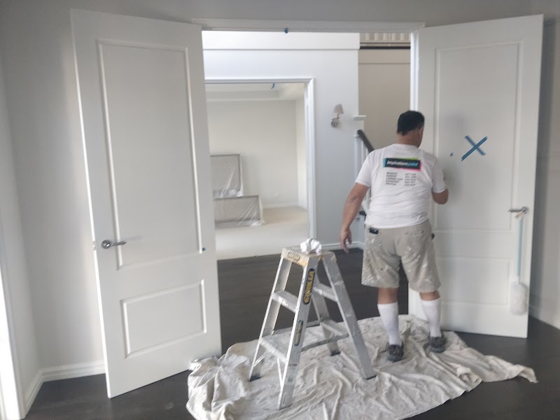 Shiraz Painters project 8