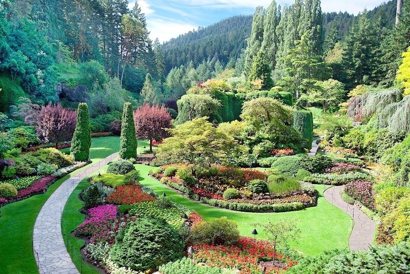 Silverfern Landscaping photo 1