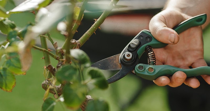 Silverstone Gardening and Lawn Mowing project 9