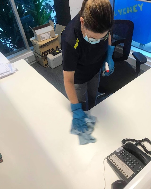 Silvy’s Cleaning Rescue cover