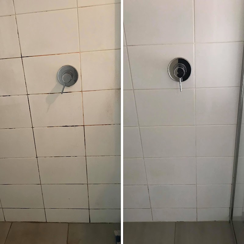 Silvy’s Cleaning Rescue project 3