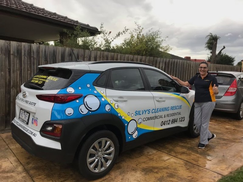 Silvy’s Cleaning Rescue project 5