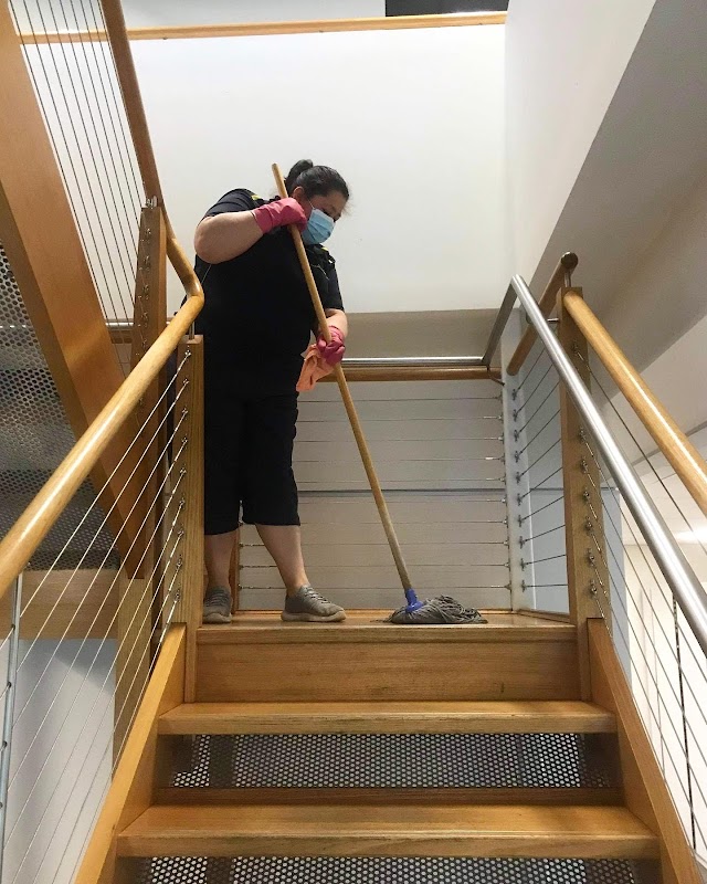 Silvy’s Cleaning Rescue project 7