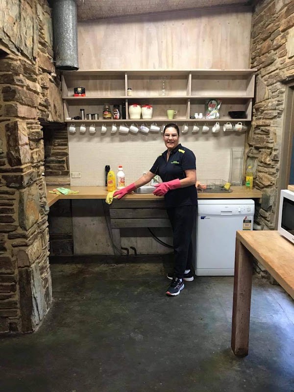 Silvy’s Cleaning Rescue project 9