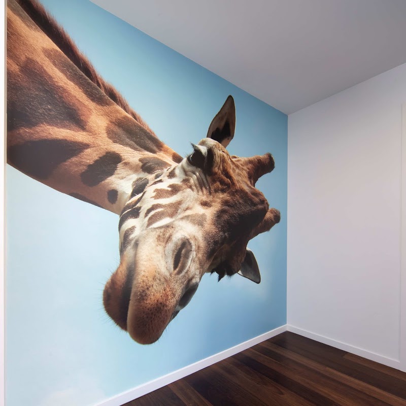 Simco Decorating Master Painters work 4