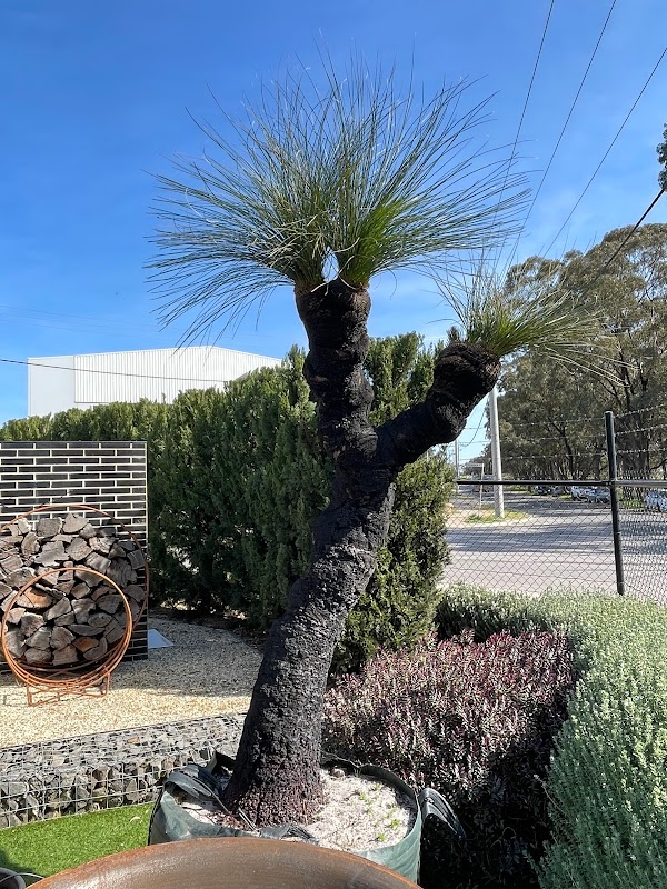 Simon Rosa Landscaping work 3