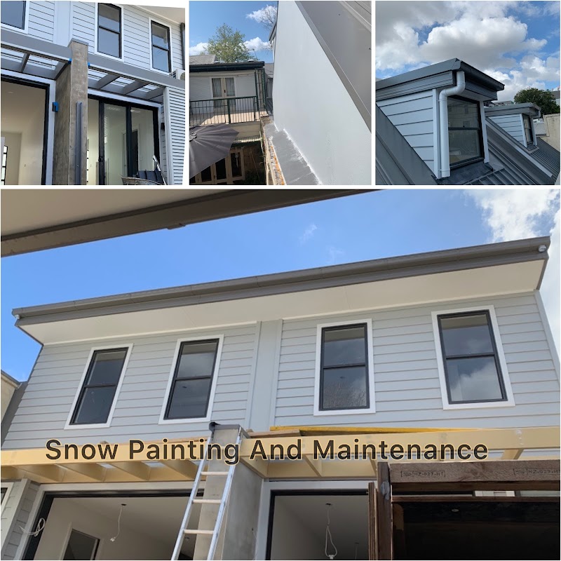 Snow Painting & Maintenance work 1