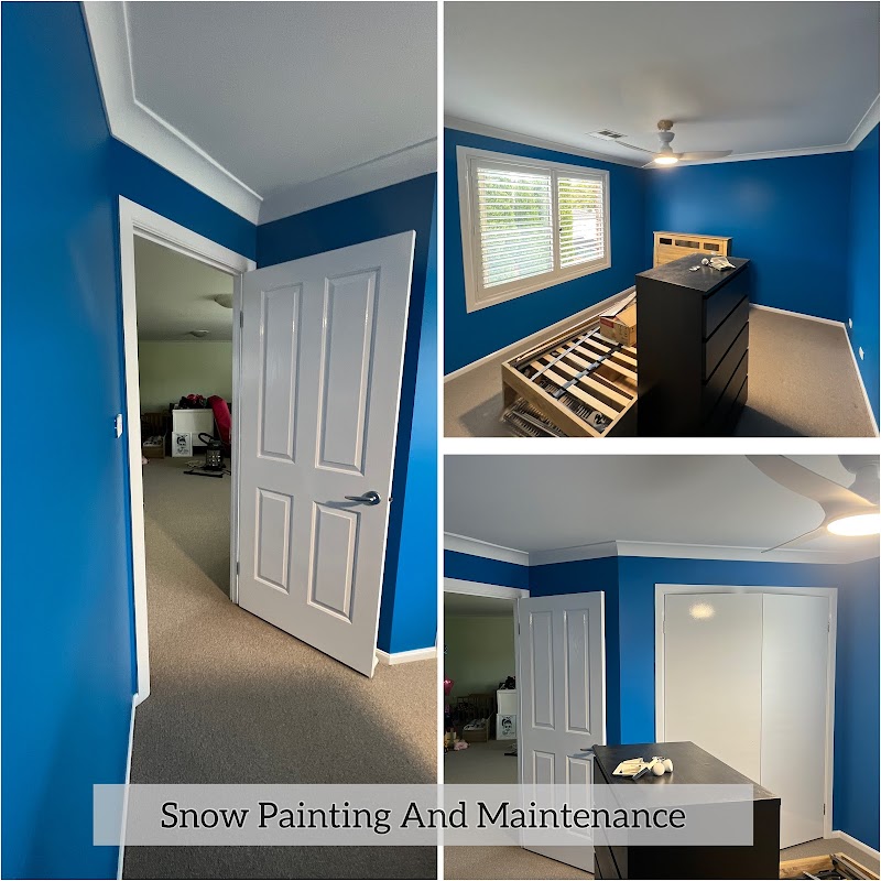 Snow Painting & Maintenance project 9