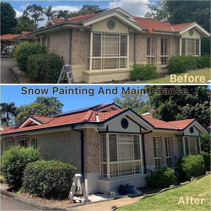 Snow Painting & Maintenance project 10