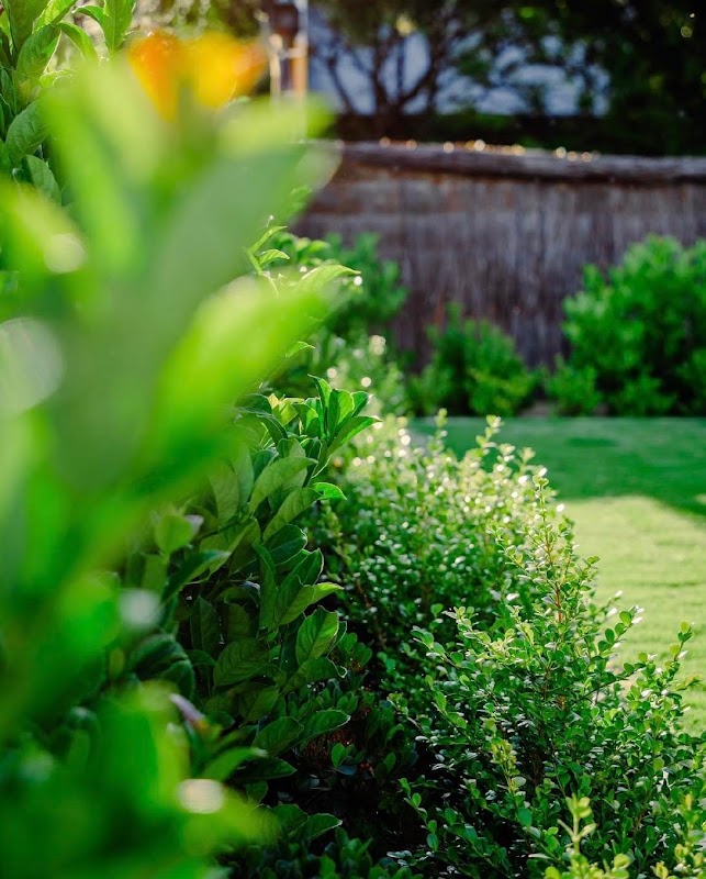 Southern Earth Landscaping project 9