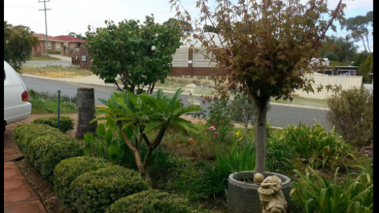 Sparkle Gardening Services
