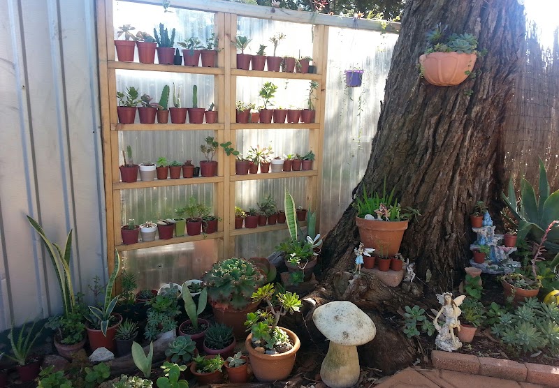 Sparkle Gardening Services project 3