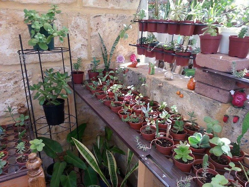 Sparkle Gardening Services project 4