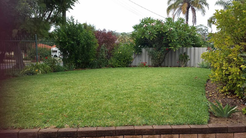Sparkle Gardening Services project 7