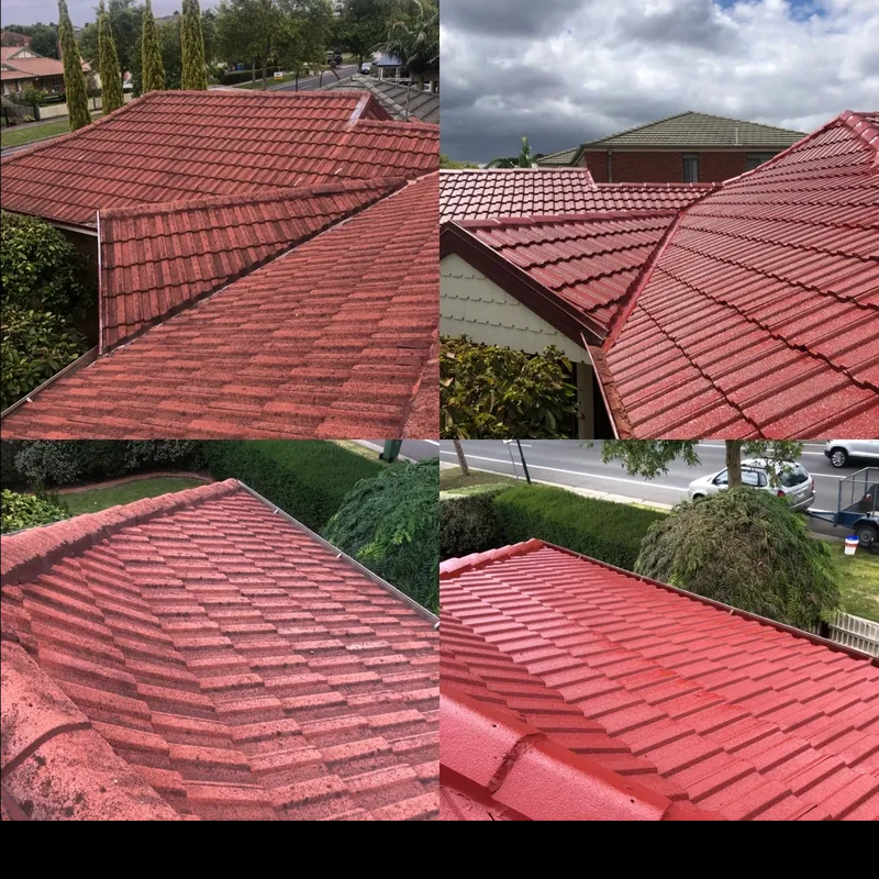 Spic And Span Roof Restoration work 2