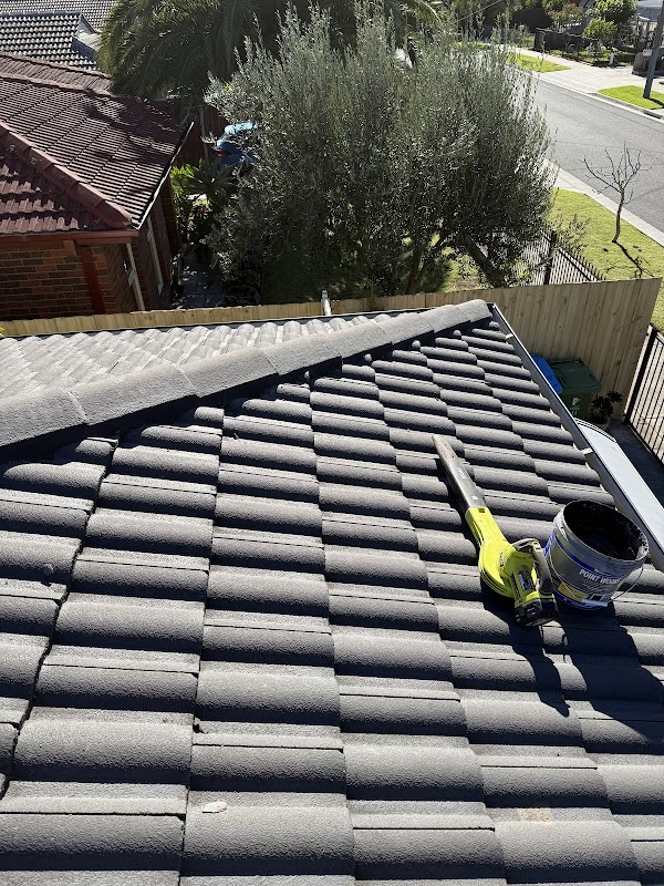 Spic And Span Roof Restoration work 3