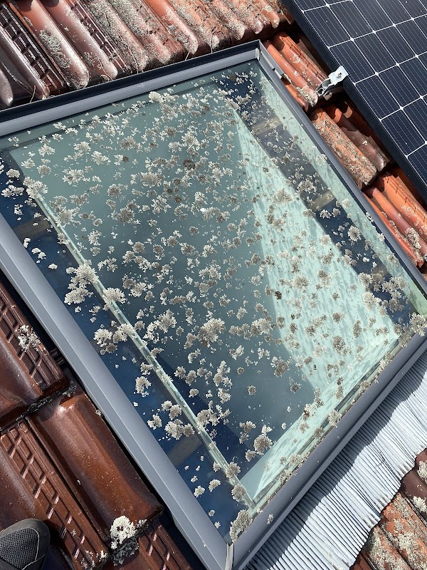 Spotless Solar Care work 4