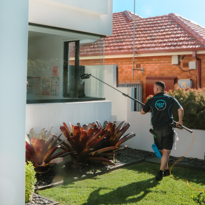 SpotOn Window, Gutter and Pressure Cleaning - Softwash photo 2