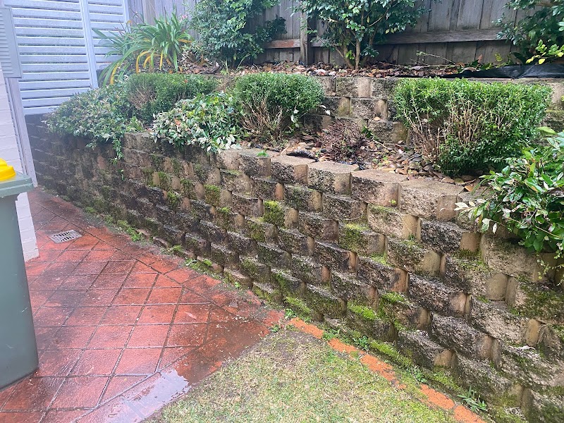 Springtime External House Cleaning project 10