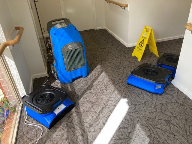 STB Cleaning Services photo 2