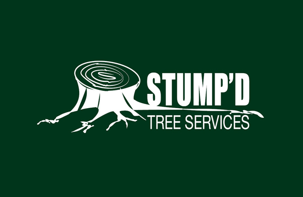 Stumped Tree Services project 8