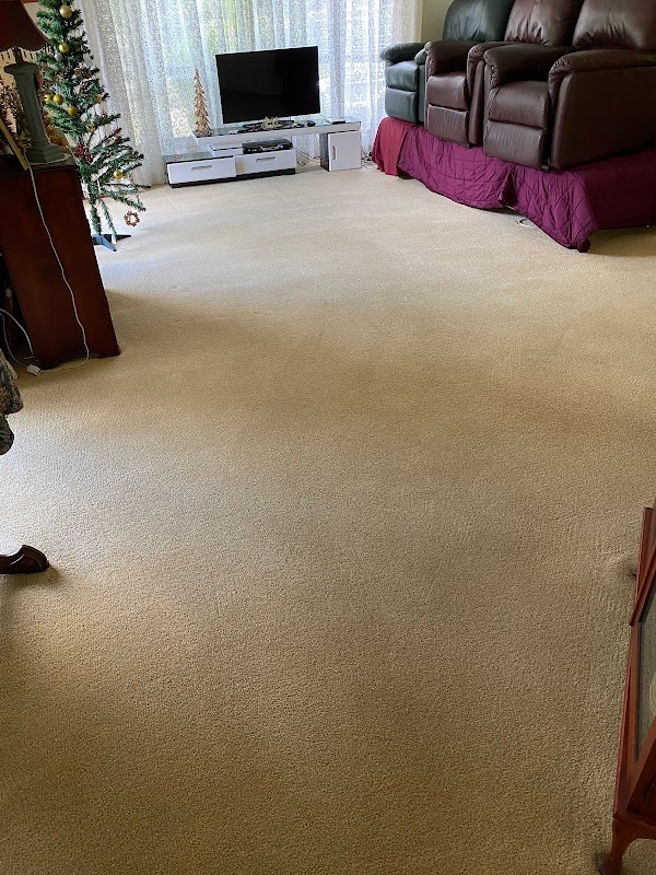 Sun Clean Carpet Cleaning & Pest Control work 1