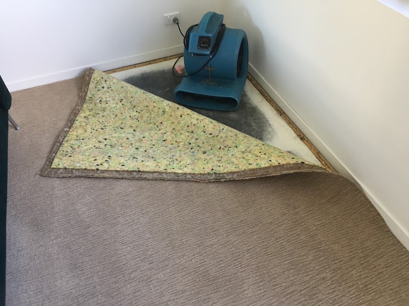 Sun Clean Carpet Cleaning & Pest Control work 3