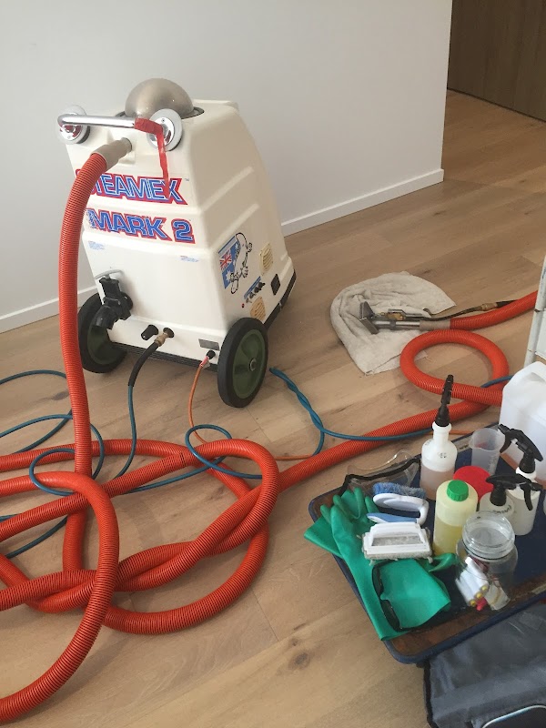 Sun Clean Carpet Cleaning & Pest Control project 5
