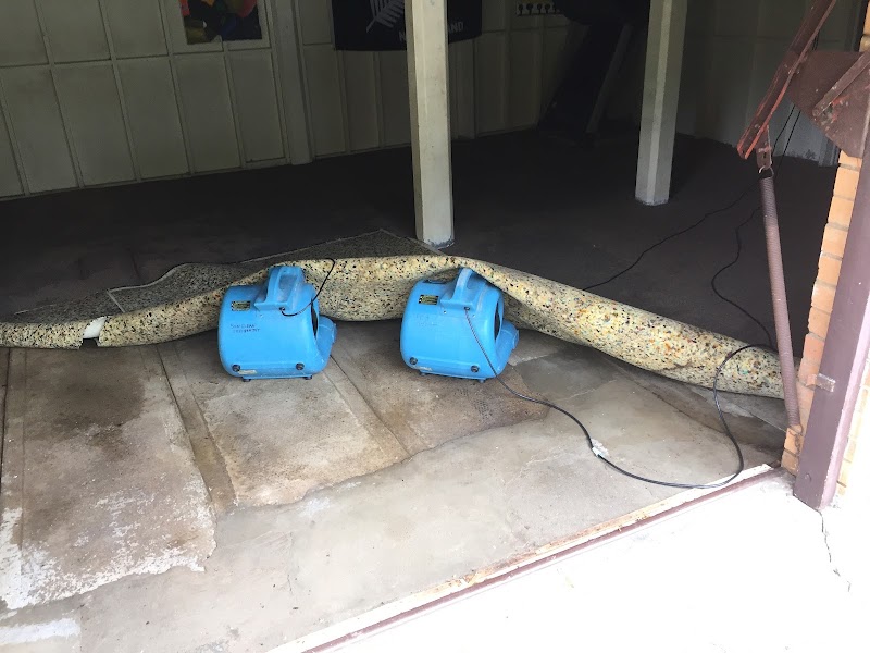 Sun Clean Carpet Cleaning & Pest Control project 6