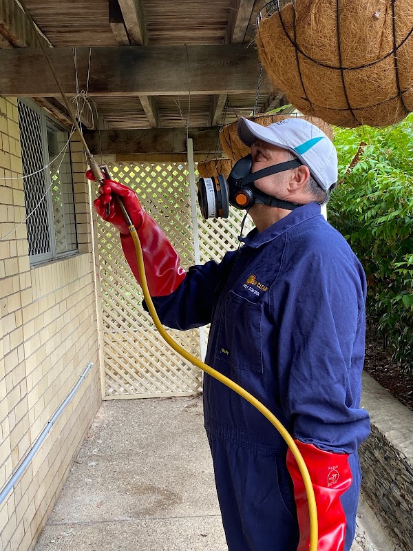 Sun Clean Carpet Cleaning & Pest Control project 8