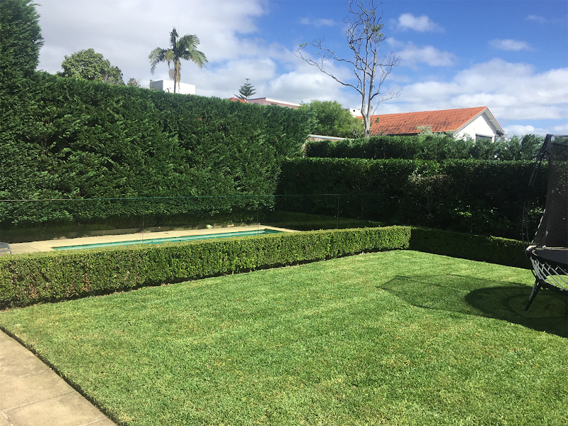SurfSide Gardens work 2