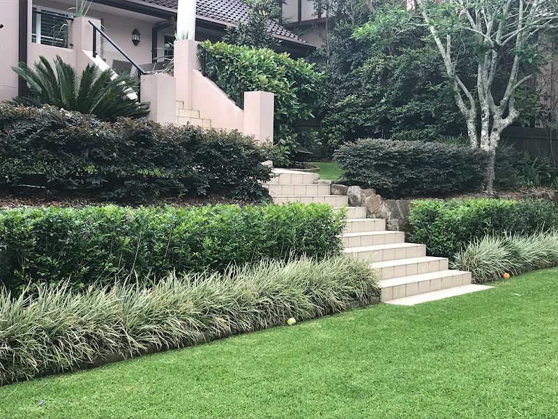 SurfSide Gardens project 5