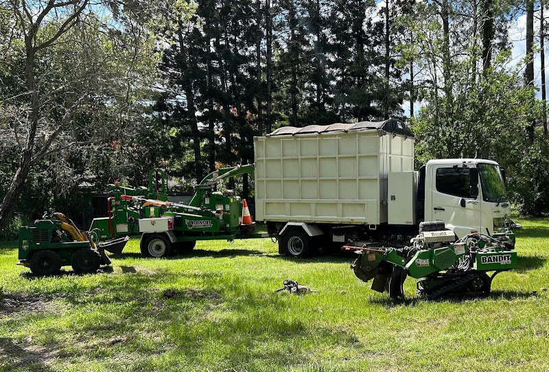 Sustainable Tree Care photo 1
