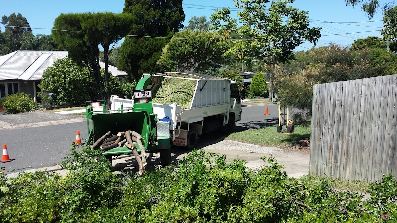 Sustainable Tree Care project 9