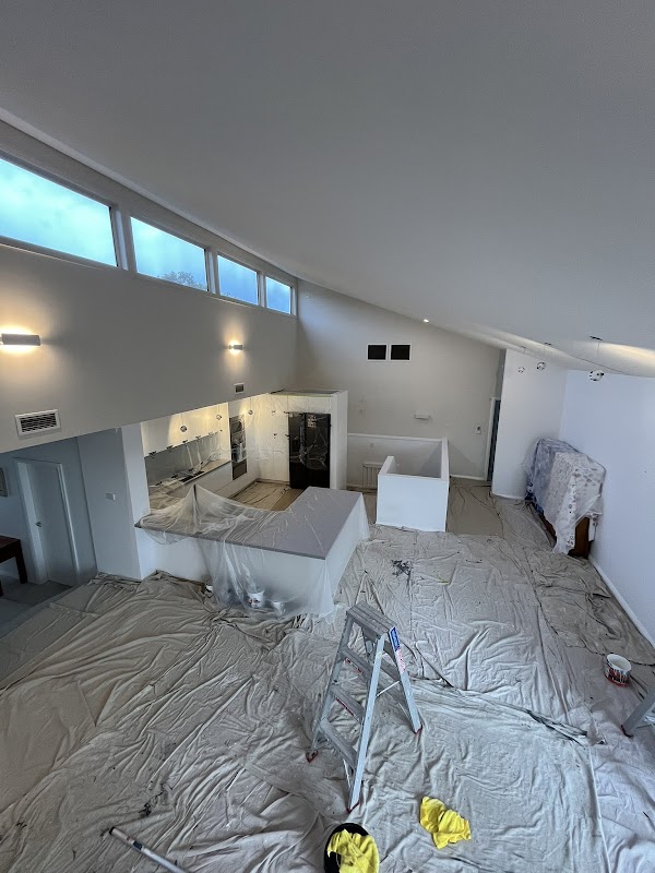 Sydney Best Painting work 1