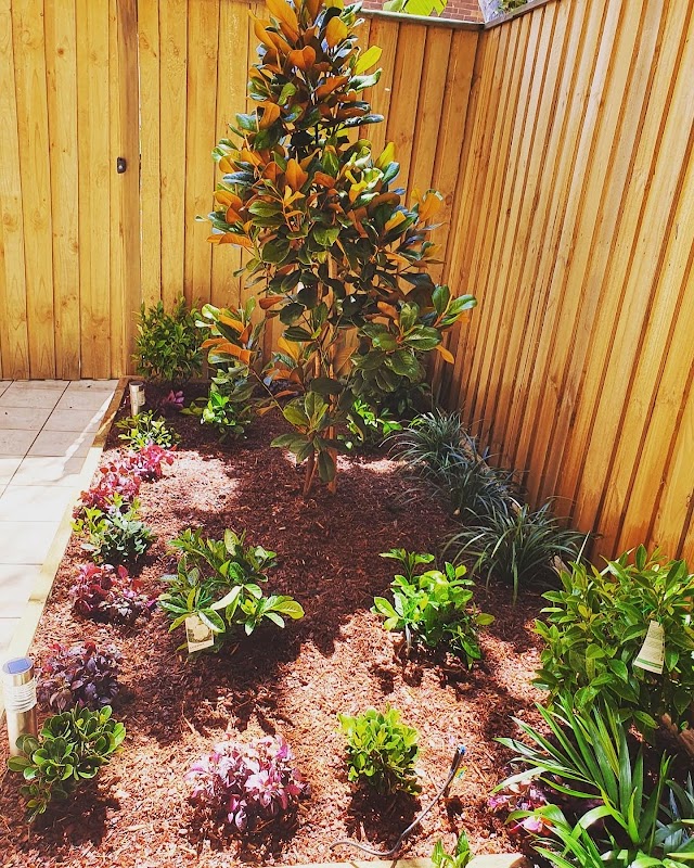 Sydney Gardenscaping work 3